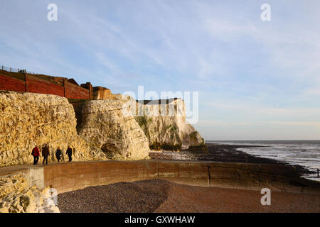 Vista lungo chalk cliffs dal lungomare di Seaford Testa, Seaford, East Sussex, Inghilterra Foto Stock