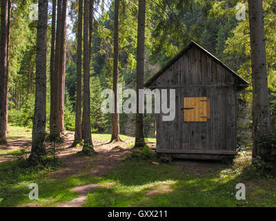 Piccola casa in legno con persiane in una radura nel bosco Foto Stock