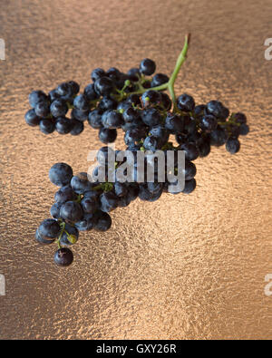 Un mazzo di uve Concord Merlot Foto Stock