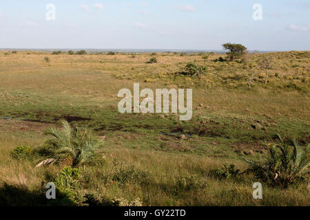 Vista dalla Amazibu nascondere, Isimangalsio Wetland Park, Santa Lucia, Sud Africa, Agosto 2016 Foto Stock