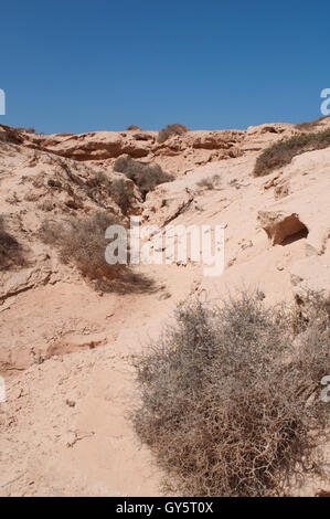 Fuerteventura: il Barranco de los Encantados, chiamato anche de los Enamorados, è un piccolo canyon nel nord-ovest dell' isola Foto Stock