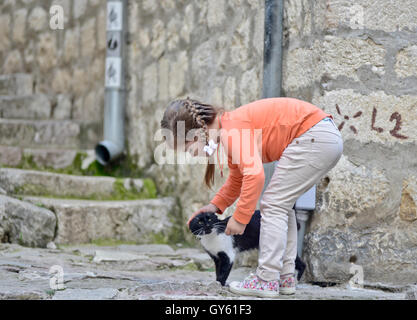 Una bambina come accarezzare un gatto nelle strade di Cattaro Città Vecchia, Montenegro Foto Stock