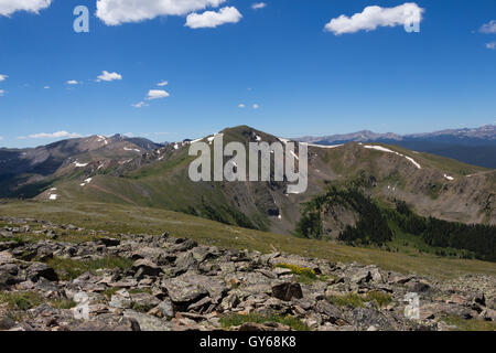 Vista panoramica sulla cima di pioppi neri americani passano, Colorado, Stati Uniti Foto Stock