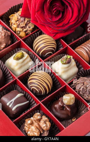 Immagine di deliziosi cioccolatini fatti a mano e bocciolo di rosa Foto Stock