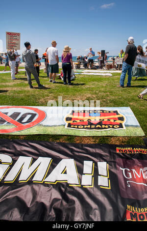 Un anziano gli indirizzi degli altoparlanti attivisti condannare geneticamente modificati prodotti agricoli (OGM) durante una dimostrazione presso la spiaggia principale in Laguna Beach, CA. Foto Stock