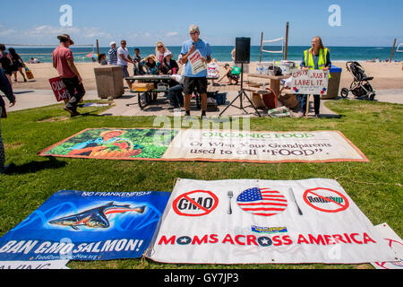 Un anziano gli indirizzi degli altoparlanti attivisti condannare geneticamente modificati prodotti agricoli (OGM) durante una dimostrazione presso la spiaggia principale in Laguna Beach, CA. Foto Stock