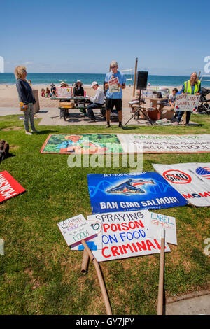 Un anziano gli indirizzi degli altoparlanti attivisti condannare geneticamente modificati prodotti agricoli (OGM) durante una dimostrazione presso la spiaggia principale in Laguna Beach, CA. . Foto Stock