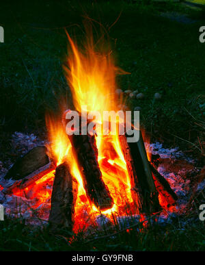 Catturare i carboni ardenti incandescente su un ardente fuoco di campo. Foto Stock