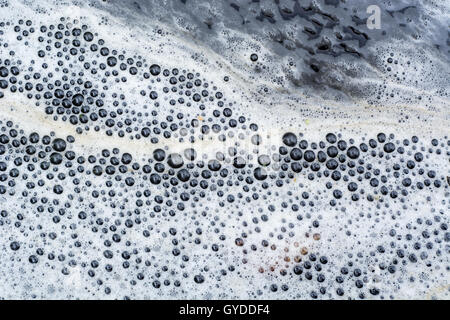 Feccia organico formante la linea di schiuma sulla superficie del fiume. Bianco e Marrone di schiuma su acqua vicino a riva con bassa portata dopo la cascata Foto Stock