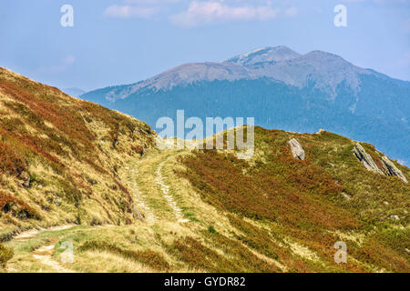 Strada tortuosa attraverso grandi prati sulla collina della gamma della montagna Foto Stock