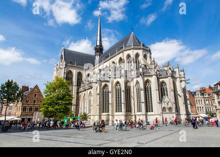 Leuven, Belgio, provincia del Brabante fiammingo, Sint Pieters Kerk, San Pietro, Foto Stock