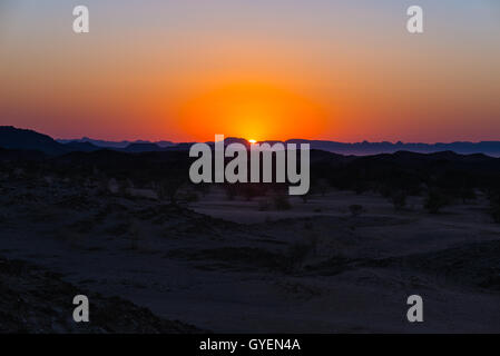 Tramonto colorato sopra il deserto del Namib, Namibia, Africa. Le montagne, dune e alberi di acacia silhouette in controluce. Rosso arancione cl Foto Stock