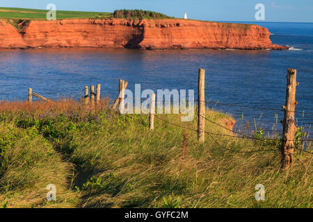 Scogliere sulla costa nord di Prince Edward Island con Capo Tryon faro in lontananza. Foto Stock