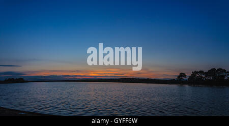 Tramonto, nuova foresta paesaggio panoramico Foto Stock