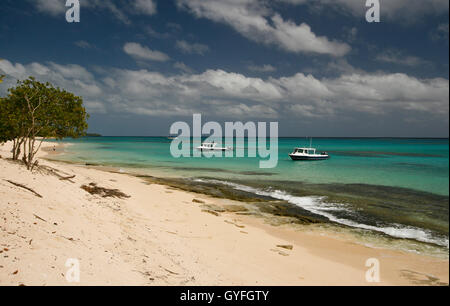 La Foa isola. Isole Haapai, Tonga. La Polinesia Foto Stock