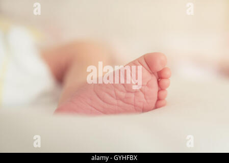 Piedi del neonato Foto Stock