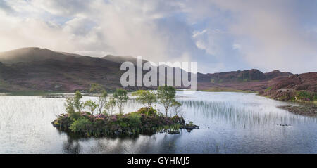 Isola di albero sul Dock Tarn in fells sopra Watendlath nel Lake District inglese su una successiva mattina d'estate con nebbia Foto Stock
