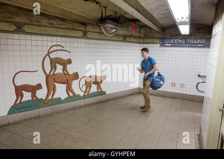 New York City,NY NYC Manhattan,Midtown,Fifth Avenue,5th,59th Street,metropolitana,stazione,MTA,arte,mosaico di vetro,Urban Oasis,Ann Schaumberger,scimpanzees,adulti Foto Stock