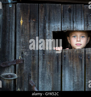 Piccola ragazza spiata attraverso uno spazio in un legno Fienile Rustico. Foto Stock