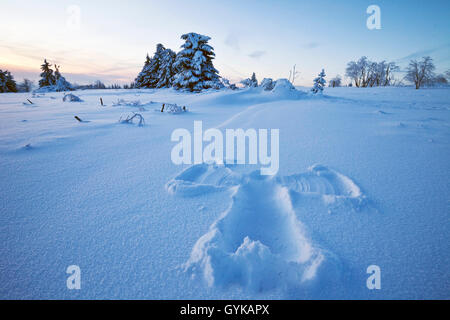 Angelo di neve in inverno il paesaggio, in Germania, in Renania settentrionale-Vestfalia, Sauerland, Winterberg Foto Stock