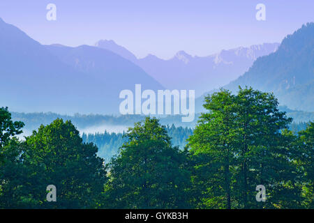 Vista su Murnau Moos in direzione delle montagne del Wetterstein, in Germania, in Baviera, Oberbayern, Alta Baviera, Murnauer Moos Foto Stock