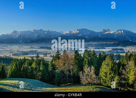 Vista da Senkelekopf sulle montagne di Tannheim e Aggenstein, in Germania, in Baviera, Alta Baviera, Baviera superiore Foto Stock