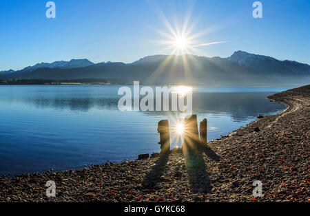 Il lago di Forggensee e Alpi Ammergau presso sunrise, in Germania, in Baviera, Oberbayern, Alta Baviera, Ostallgaeu Foto Stock