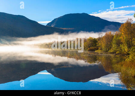 La nebbia la riflessione sul fiume Barduelva, Norvegia, Troms, Bardu Foto Stock