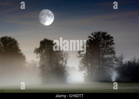 Full Moon over nebbia ascendente sulla brughiera, in Germania, in Baviera, Grabenstaetter Moor Foto Stock