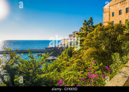 Vista di Bastia centro della città vecchia, il faro e il porto. Bastia è la seconda città più grande sulla Corsica, Francia, Europa. Foto Stock