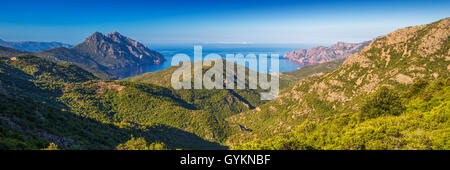 Vista dal celebre D81 strada costiera con vista del Golfe de Girolata dalla bocca di Palmarella, Corsica, Francia, Europa. Foto Stock