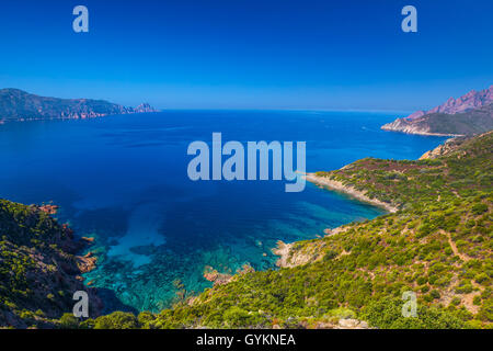 Vista dal celebre D81 strada costiera con vista del Golfe de Girolata dalla bocca di Palmarella, Corsica, Francia, Europa. Foto Stock