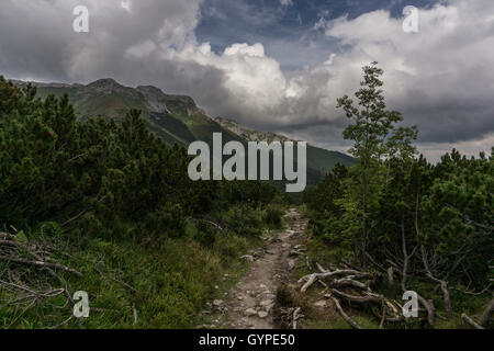 Sentiero di montagna in Belianske Tatry. Slovacchia Foto Stock