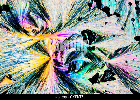 Acido benzoico cristalli in luce polarizzata Foto Stock