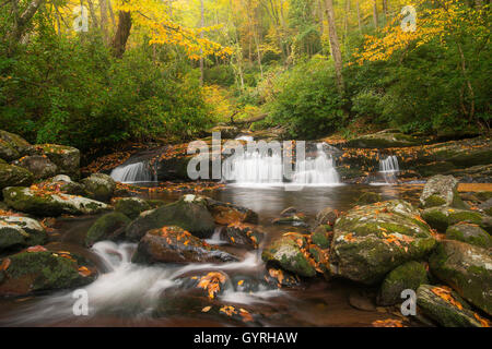 Vista della strada rebbio stream e piccole cascate da comignoli trail, Autunno, Great Smoky Mountain National Park Tennessee USA Foto Stock