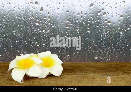 Gocce di pioggia sul vetro della finestra con uno sfondo bianco e giallo Plumeria fiore sul vecchio tavolo di legno. Foto Stock