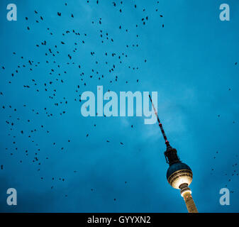 Gli uccelli volare oltre la torre della televisione di Alex, in serata, Alexanderplatz di Berlino, Germania Foto Stock