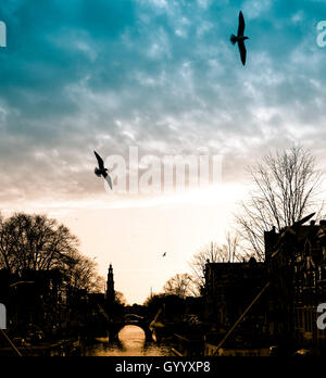 Canal con silhouette di chiesa Westerkerk e uccelli in volo al tramonto, Amsterdam, Paesi Bassi Foto Stock
