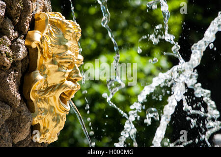 Golden faccia la fontana del Nettuno nel parco Foto Stock