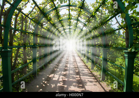 La luce alla fine del tunnel verde Foto Stock