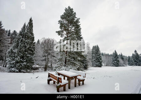 Coperte di neve di tavolo e panche in uno scenario invernale, in Germania, in Baviera, Oberpfalz Foto Stock