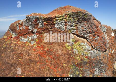 I licheni ad una roccia nella valle della desolazione, Sud Africa, Eastern Cape, Camdeboo National Park, Graaff-Reinet Foto Stock