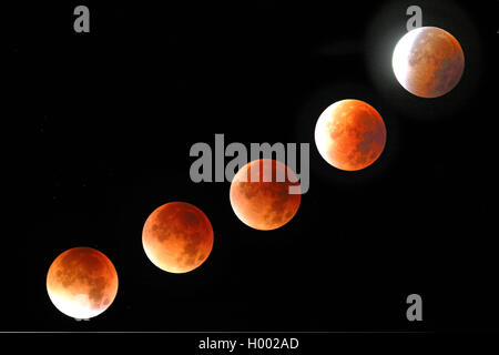 Lunar Eclipse in 28.09.2015 tra 4.19 til 5.35 guardare, in Germania, in Renania settentrionale-Vestfalia, Haan Foto Stock