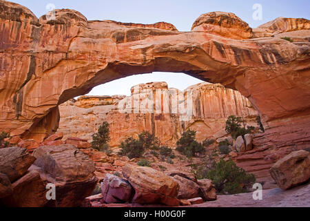 Arch a Capitol Reef National Park, Stati Uniti d'America, Utah, parco nazionale di Capitol Reef Foto Stock