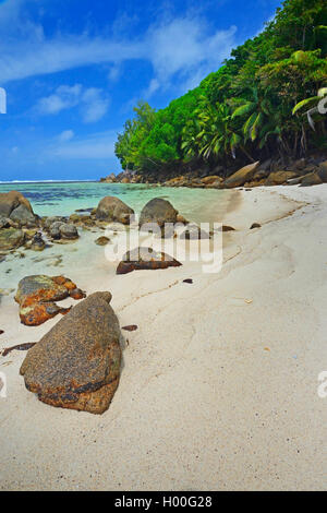 Sogno deserta spiaggia di Anse Baleine presso la costa orientale di Mahe, Seychelles, Mahe Foto Stock