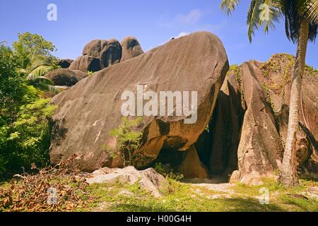 Palme e rocce di granito presso la spiaggia da sogno fonte d'Argent, Seychelles, La Digue Foto Stock