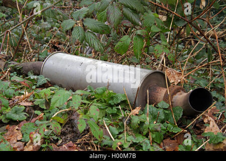 Illegale disposto il sistema di scarico in corrispondenza di un bordo di una foresta, Germania Foto Stock