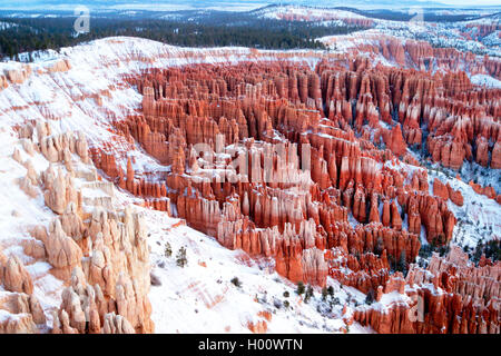 Bryce Canyon in inverno, STATI UNITI D'AMERICA, Utah, Parco Nazionale di Bryce Canyon Foto Stock