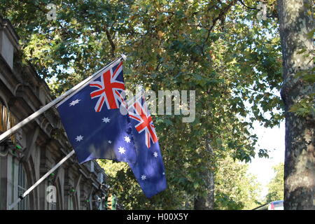 Bandiera australiana, bandiera di Australia, rovinato blue ensign, Union Jack nel cantone, a stella con sette punte, stella del Commonwealth, 1901 Foto Stock