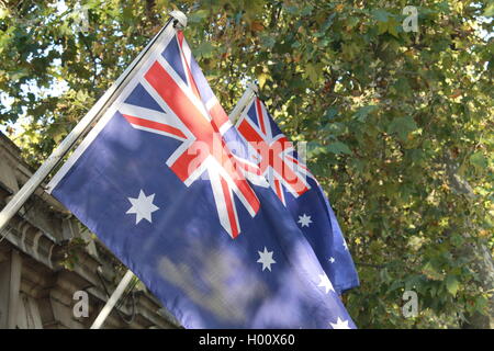 Bandiera australiana, bandiera di Australia, rovinato blue ensign, Union Jack nel cantone, a stella con sette punte, stella del Commonwealth, 1901 Foto Stock